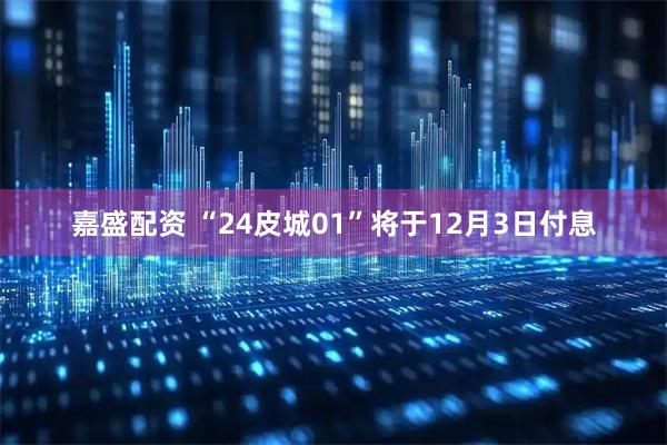 嘉盛配资 “24皮城01”将于12月3日付息