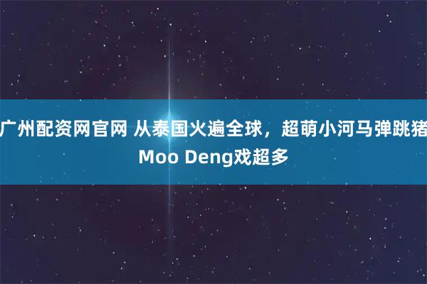 广州配资网官网 从泰国火遍全球，超萌小河马弹跳猪Moo Deng戏超多